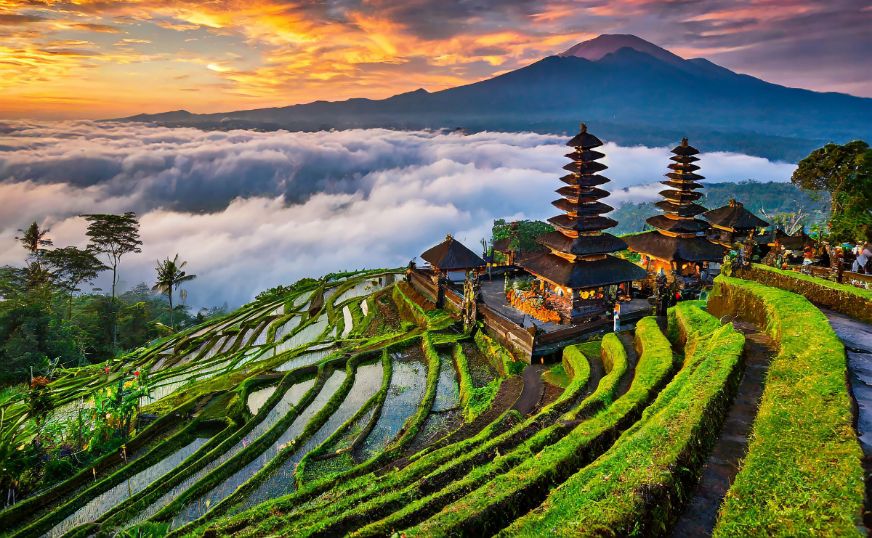 Bali Tour